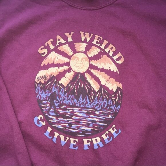 Worn Once OBEY Crewneck Sweatshit - Picture 2 of 3